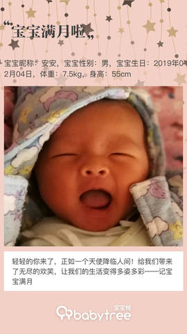 journal_insert_pic_1194202291