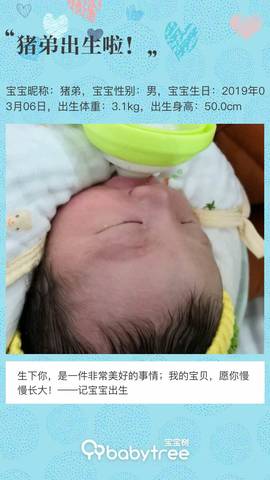 journal_insert_pic_1194970915