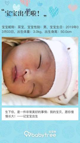 journal_insert_pic_1194688733