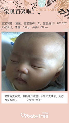 journal_insert_pic_1196303429