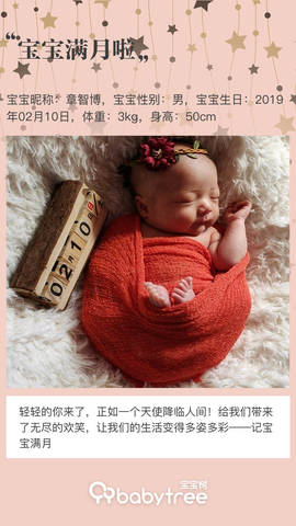 journal_insert_pic_1198806614