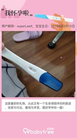 journal_insert_pic_1199238656