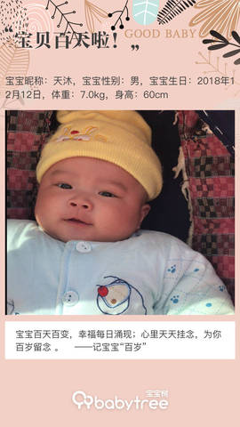 journal_insert_pic_1199908946