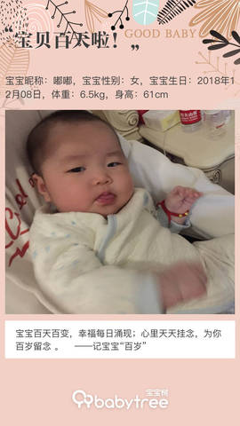 journal_insert_pic_1200270997