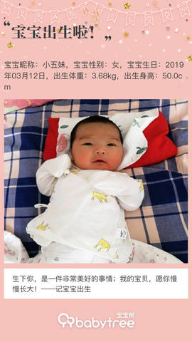 journal_insert_pic_1200951768