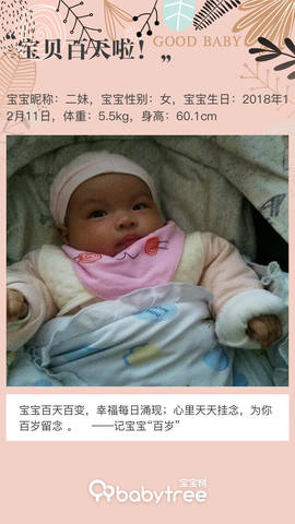 journal_insert_pic_1202148064