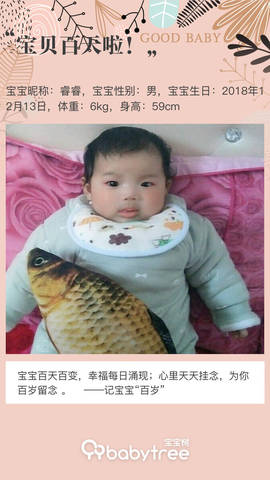 journal_insert_pic_1202552676