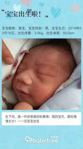 journal_insert_pic_1202852754
