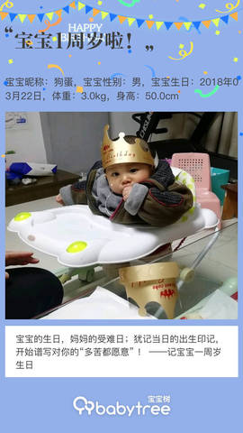 journal_insert_pic_1202560256