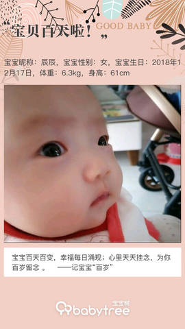 journal_insert_pic_1202674531