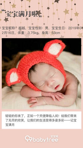 journal_insert_pic_1202673469