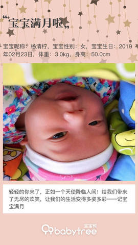 journal_insert_pic_1203183372