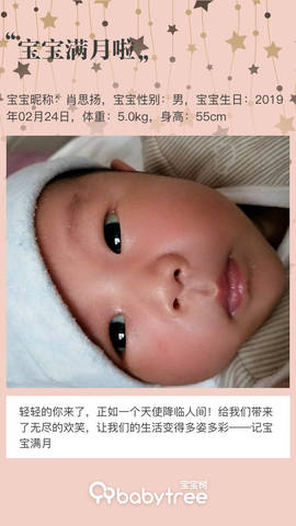 journal_insert_pic_1203192577
