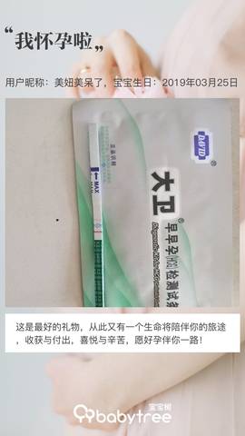 journal_insert_pic_1204233257