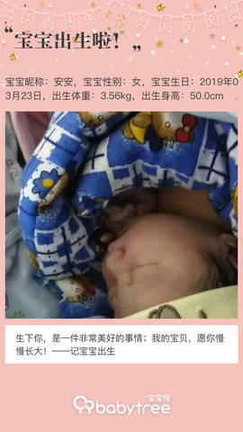 journal_insert_pic_1204802577