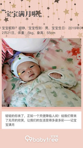 journal_insert_pic_1205206738