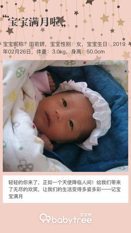 journal_insert_pic_1205154041