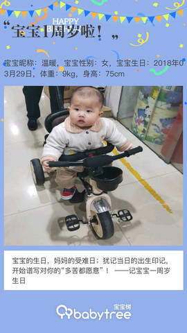 journal_insert_pic_1205354541