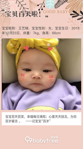 journal_insert_pic_1205395200