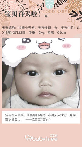 journal_insert_pic_1205300982