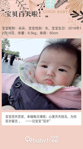 journal_insert_pic_1205687221