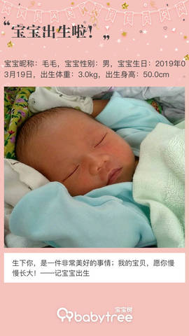 journal_insert_pic_1205368377