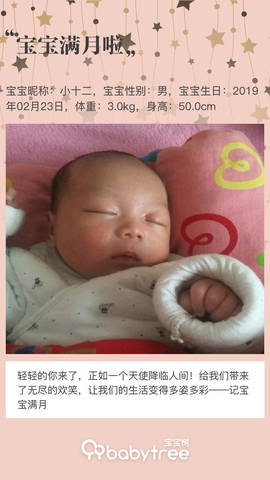 journal_insert_pic_1206254722