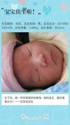 journal_insert_pic_1205896224