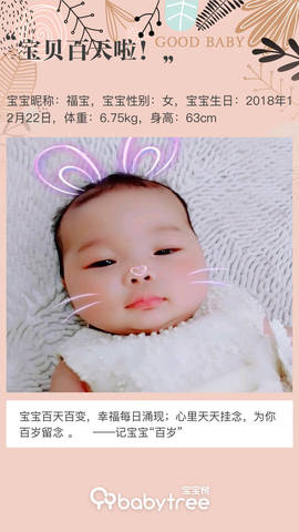 journal_insert_pic_1206384230