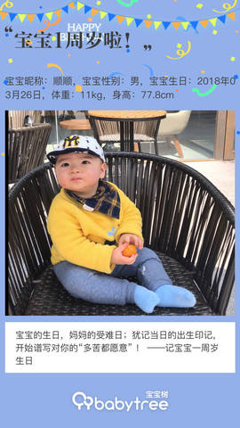 journal_insert_pic_1205941933
