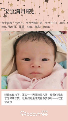 journal_insert_pic_1206137273