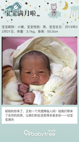 journal_insert_pic_1206650028