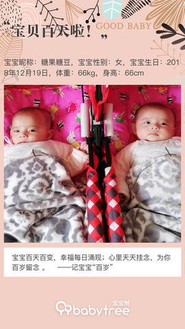 journal_insert_pic_1207394273