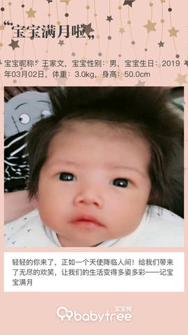 journal_insert_pic_1207409290