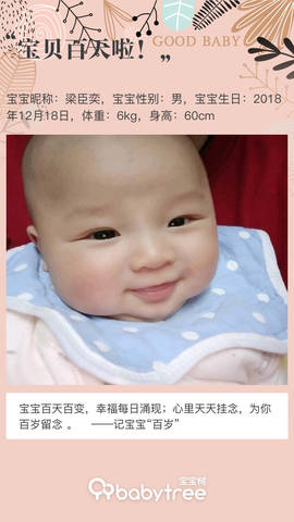 journal_insert_pic_1207045569
