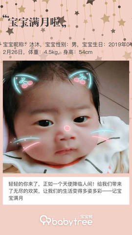 journal_insert_pic_1207044245