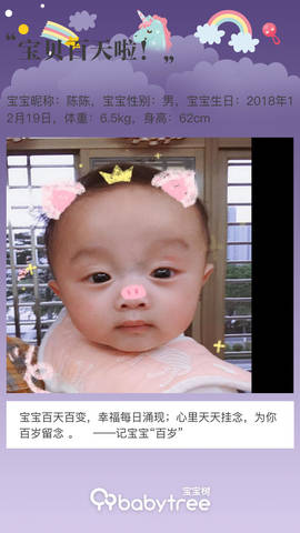 journal_insert_pic_1207551260