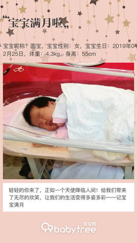journal_insert_pic_1207652803
