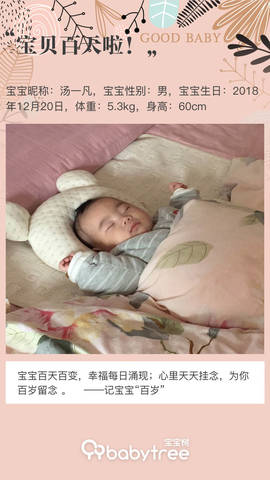 journal_insert_pic_1207923212