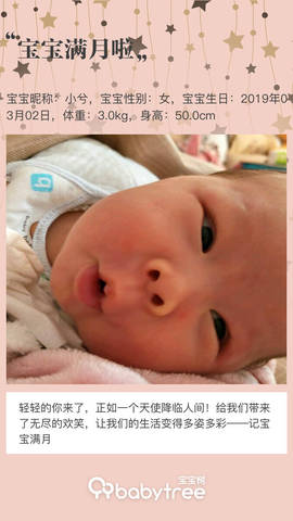 journal_insert_pic_1207647243