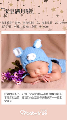 journal_insert_pic_1207857794