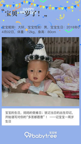 journal_insert_pic_1208194530