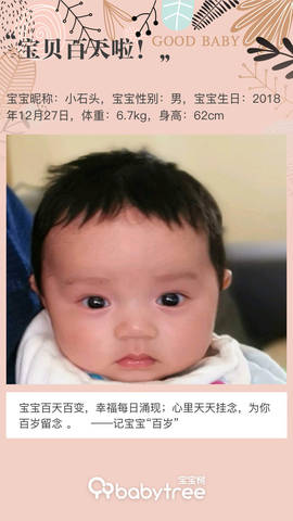 journal_insert_pic_1208975750
