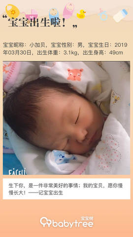 journal_insert_pic_1209712837