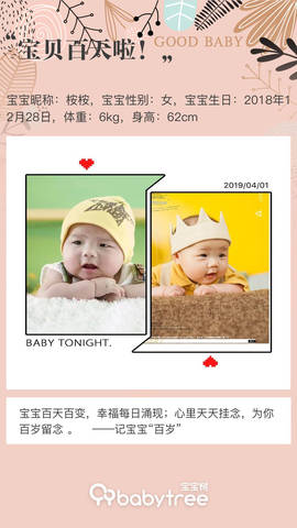 journal_insert_pic_1209313430