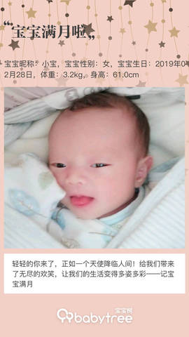 journal_insert_pic_1209355729