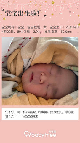 journal_insert_pic_1209404582