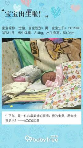 journal_insert_pic_1210304707