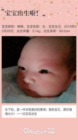 journal_insert_pic_1210013776
