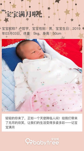 journal_insert_pic_1210036917